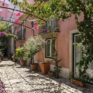 Domingues Lisbon